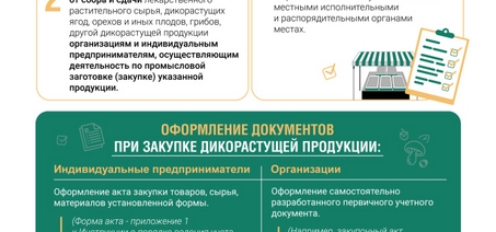 Правила сбыта даров леса