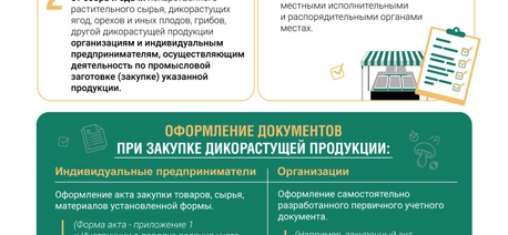 Правила сбыта даров леса