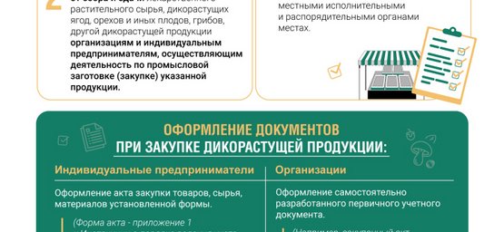 Правила сбыта даров леса